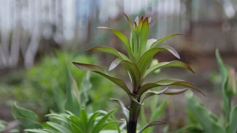 0317 Uliyanovsk Spring2016 Stock Footage 72972815