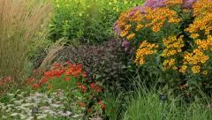 prairie style perennial garden flower bed