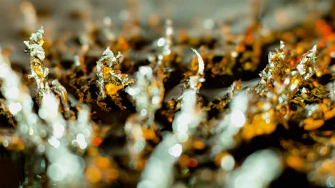 032 Steely Files Stock Footage 199234615