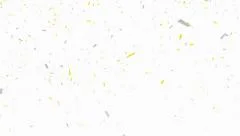 Gold and Silver Confetti - alpha channel included