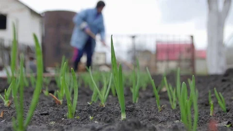 0323 Uliyanovsk Spring2016 Video stock 72973090
