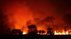 australian bush burning at night