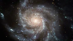 Into the Spiral Galaxy Vortex