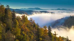 Asheville Autumn / Fall Foliage with Moving Mist over the Blue Ridge Mountains