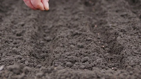 0325 Uliyanovsk Spring2016 Stock Footage 72973186