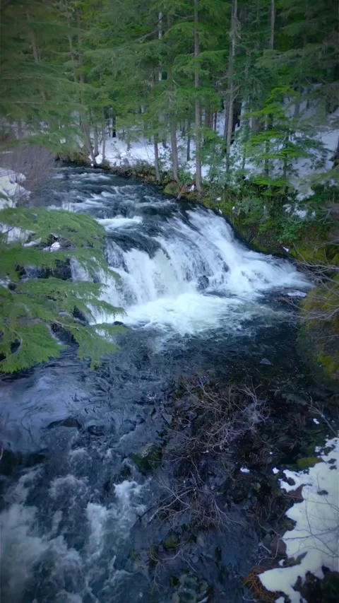 0329 (1)(3) Stock Footage 270344468