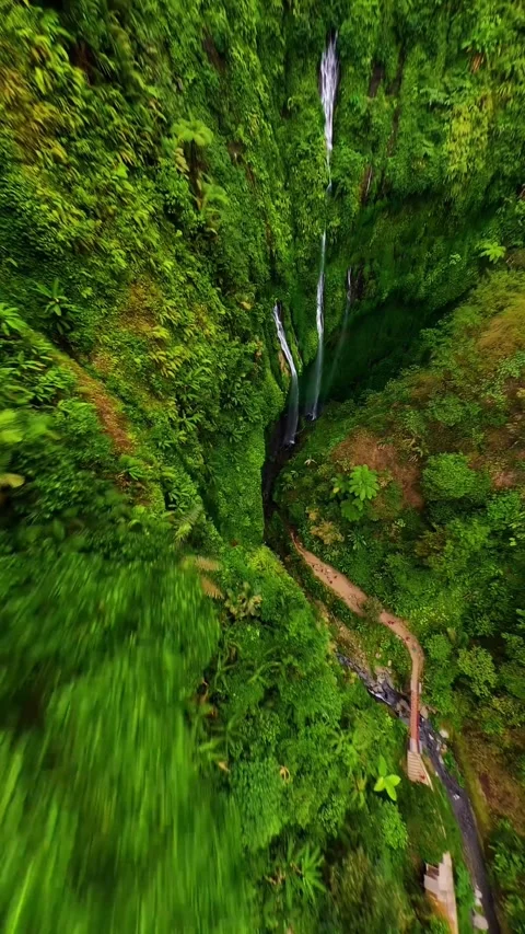 0329 (1)(4) Stock Footage 270344823