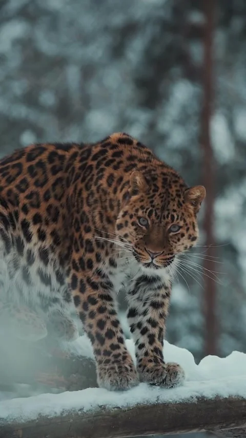 0329 (1)(7) Stock Footage 270344831