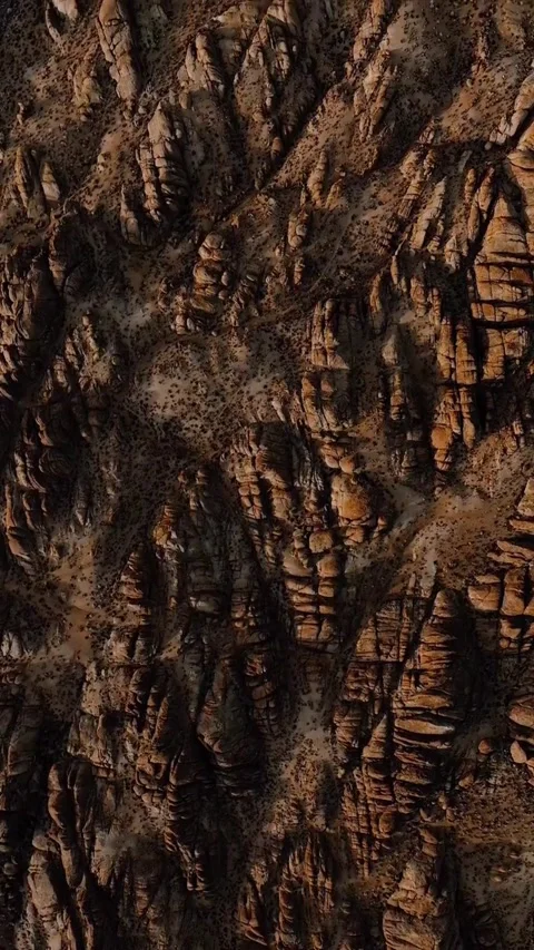 0329(11) Stock Footage 270333899