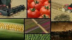Montage of agriculture, farming and food