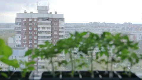 0334 Uliyanovsk Spring2016 Stock Footage 72973953