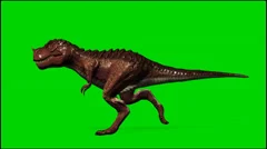 Dinosaur Tyrannosaurus T-Rex run - isolated green screen footage clip 3