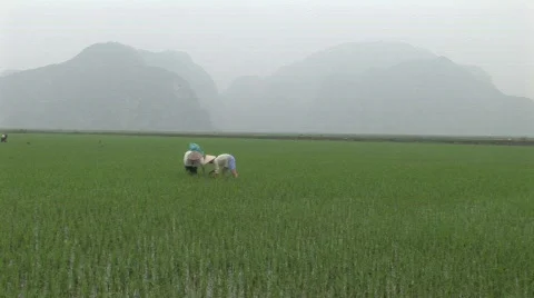 034-34 Stock Footage 475146