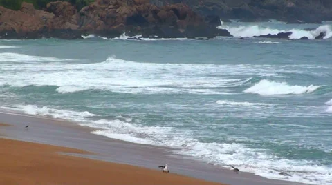 0344 Seashore landscape Stock Footage 35441144