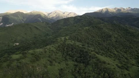 035 Video stock 246017511