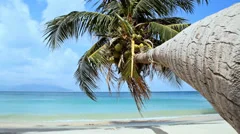 Tropical Paradise at Samui with palm  tree on the beach