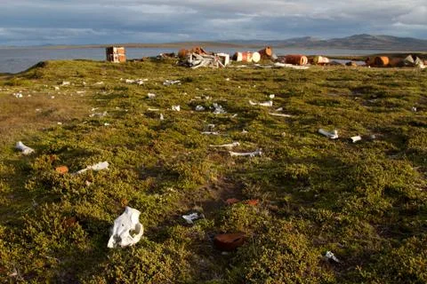 garbage dump xkwx barrel, concepts and ideas, container, developing countries, dirty, environment, environmental damage, falkland, falkland islands, garbage, garbage dump, illegal waste disposal, industry, iron, large group of objects, messy, modern life, nature, nobody, oil tank, outdoors, package, packaging, plastic, plastic bag, pollution, recycling, storage tank, unhygienic, unpleasant smell, urban scene, waste, water's edge, yucky