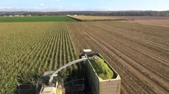 Aerial view of a farmer harvesting silage