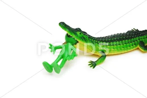  Stock Photos