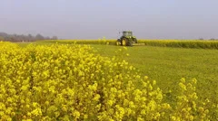 Rapeseed harvesting to enrich the soil.