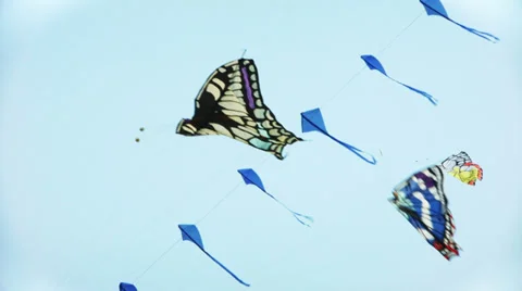 0363 Kites in the air Stock Footage 37559819