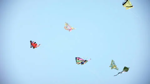 0365 Kites flying in the wind Stock Footage 37560685