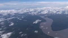 Aerial view of Amazon river and rainforest - Brazil