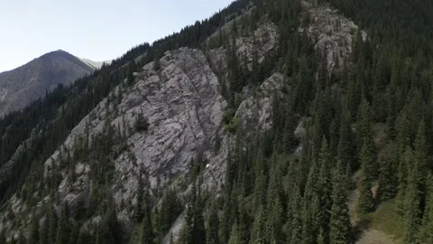 037 Video stock 246018655