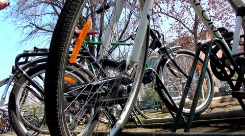 0371 Bikes in the park Stock Footage 36610547