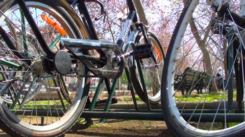 0372 Bikes in the park Stock Footage 36638514
