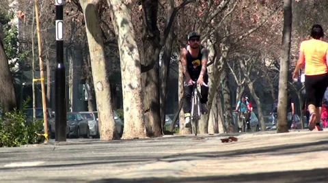 0376 Bikes in the park Stock Footage 36639001