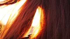 Wind playing with girl hairs on the beach. red head girl with long hair.
