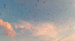 A swarm of mosquitoes on the background of sky and clouds