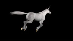 Unicorn Gallop - White  - Natural Horn - Back - Loop - Alpha - 25fps