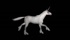 Unicorn Gallop - White - Natural Horn - Side To Right - Loop - Alpha - 25fps