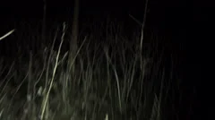 POV shot walking/running through dark spooky forest at night