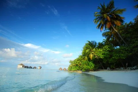 maldives landscape ocean palm sky xkwx maldives island ocean landscape atoll bay beach beauty blue calm caribbean coast coastline exotic green holiday hot hotel house lagoon luxury nature palm paradise recreation relax relaxation resort romantic sand scenery scenic sea seascape serenity shore sky summer sun sunlight sunny tourism travel tree tropic tropical turquoise vacation view water