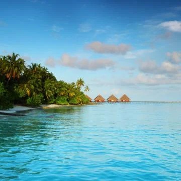 maldives landscape ocean palm sky xkwx maldives island ocean landscape atoll bay beach beauty blue calm caribbean coast coastline exotic green holiday hot hotel house lagoon luxury nature palm paradise recreation relax relaxation resort romantic sand scenery scenic sea seascape serenity shore sky summer sun sunlight sunny tourism travel tree tropic tropical turquoise vacation view water