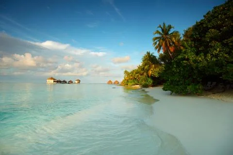 maldives landscape ocean palm sky xkwx maldives island ocean landscape atoll bay beach beauty blue calm caribbean coast coastline exotic green holiday hot hotel house lagoon luxury nature palm paradise recreation relax relaxation resort romantic sand scenery scenic sea seascape serenity shore sky summer sun sunlight sunny tourism travel tree tropic tropical turquoise vacation view water