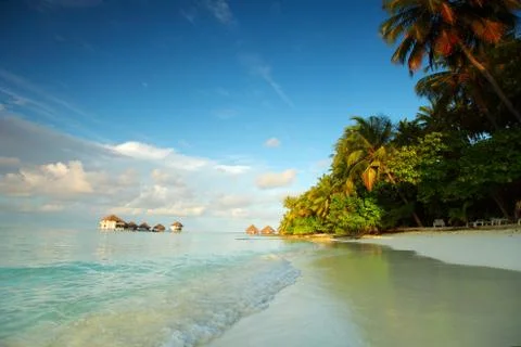 maldives landscape ocean palm sky xkwx maldives island ocean landscape atoll bay beach beauty blue calm caribbean coast coastline exotic green holiday hot hotel house lagoon luxury nature palm paradise recreation relax relaxation resort romantic sand scenery scenic sea seascape serenity shore sky summer sun sunlight sunny tourism travel tree tropic tropical turquoise vacation view water