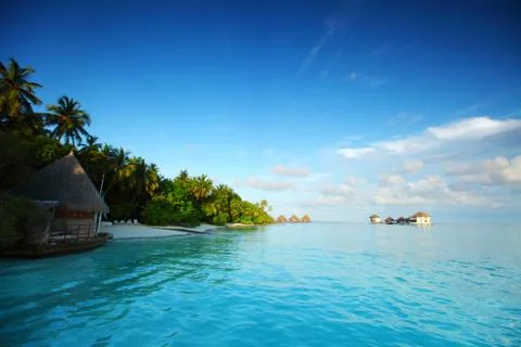 maldives landscape ocean palm sky xkwx maldives island ocean landscape atoll bay beach beauty blue calm caribbean coast coastline exotic green holiday hot hotel house lagoon luxury nature palm paradise recreation relax relaxation resort romantic sand scenery scenic sea seascape serenity shore sky summer sun sunlight sunny tourism travel tree tropic tropical turquoise vacation view water