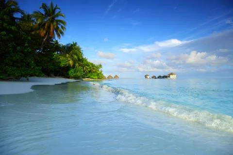 maldives landscape ocean palm sky xkwx maldives island ocean landscape atoll bay beach beauty blue calm caribbean coast coastline exotic green holiday hot hotel house lagoon luxury nature palm paradise recreation relax relaxation resort romantic sand scenery scenic sea seascape serenity shore sky summer sun sunlight sunny tourism travel tree tropic tropical turquoise vacation view water