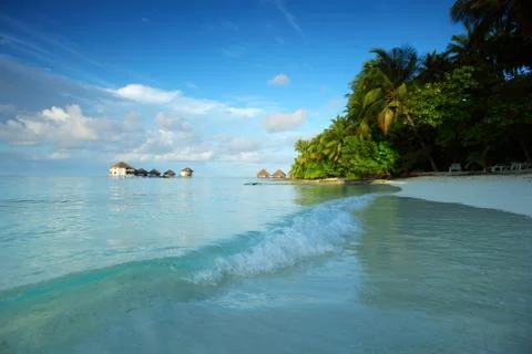 maldives landscape ocean palm sky xkwx maldives island ocean landscape atoll bay beach beauty blue calm caribbean coast coastline exotic green holiday hot hotel house lagoon luxury nature palm paradise recreation relax relaxation resort romantic sand scenery scenic sea seascape serenity shore sky summer sun sunlight sunny tourism travel tree tropic tropical turquoise vacation view water