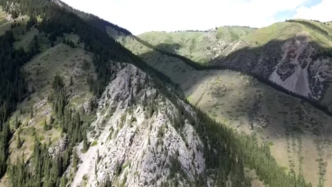 039 Video stock 246018828