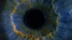 Eye iris and pupil macro