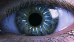 Eye iris and pupil macro with zoom.