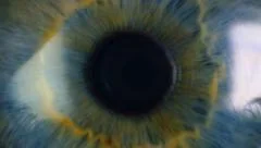 Pupil of the eye narrows