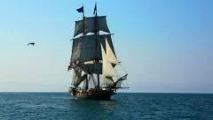 Sea Gull Flies in Front of Tall Ship
