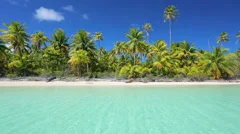 tropical island in the south pacific with palm trees