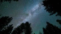 Milky Way Forest time lapse - 1080p